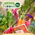 野菜セット 旬の野菜 詰め合わせ やさい