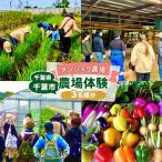 農場体験 タンジョウ農場 ランチ スイーツ