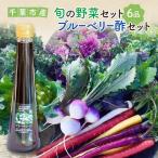 野菜セット 旬の野菜 ブルーベリー酢付 詰め合わせ