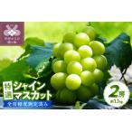 ふるさと納税 〈2025年度配送分〉【全房糖度測定済み】 山梨県産 特選シャインマスカット 2房(約1.1kg) シャインマスカット 先行予約 2025年 .. 山梨県甲府市