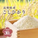令和8年産 こしひかり 精米 米袋10kg×3
