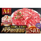 その旨味 最上級 しまね和牛肉 赤身切り落とし 約540g