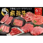 東 5等級シャトーブリアン入り 飛騨牛極上定期便