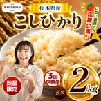 令和8年度 産こしひかり 玄米 約2kg