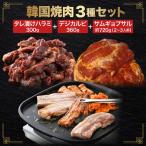 韓国焼肉 3種セット タレ漬け ハラミ デジカルビ