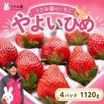 畑のいちご やよいひめ 4パック