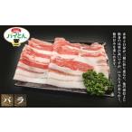 アグーブランド豚 パイとん しゃぶしゃぶ用 600g