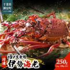 fu.... налог .. сырой еда для Исэ город море .( рефрижератор )250g(250~300g)×1 шт / ONJB003 Исэ город море . море . лангуст сырой еда для Chiba префектура .. блок 