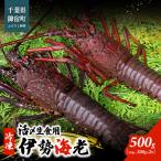 fu.... налог .. сырой еда для Исэ город море .( рефрижератор )500g(250~300g)×2 шт / ONJB015 Исэ город море . море . лангуст сырой еда для Chiba префектура .. блок 