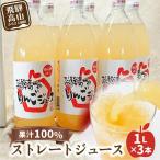 飛騨高山のリンゴジュース 1リットル×3本