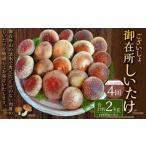 御在所肉厚生しいたけ 計約2kg 1回あたり約500g