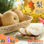 J06 梨 南水 約3kg