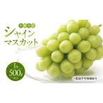 ぶどう 早期受付 シャインマスカット 1房