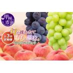 ふるさと納税 【定期便】旬の採れたて3回定期便（桃・藤稔・シャインマスカット）【2026年発送】（HO）C9-413 桃 藤稔 シャインマスカット フル.. 山梨県甲州市