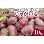 じゃがいも 10kg