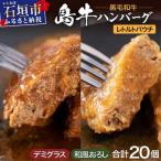 島牛ハンバーグセット デミグラス&amp;和風おろし 160g×20個