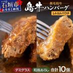 島牛ハンバーグセット デミグラス&amp;和風おろし 160g×10個