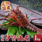 伊勢えび 約1kg