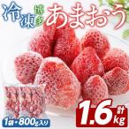冷凍 あまおう 計1.6kg
