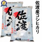 特別栽培米 コシヒカリ 無洗米10Kg 令和4年産
