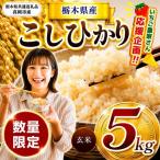 令和8年度産 こしひかり 玄米 約5kg