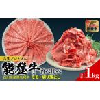 能登牛 食べ比べセット 計1kg
