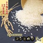 令和8年産 コシヒカリ 白米 5kg