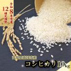 新米 コシヒカリ 白米 10キロ