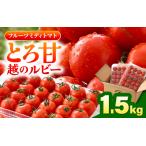 とろ甘 越のルビー 1.5kg