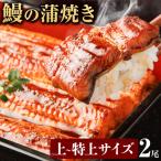 うなぎの蒲焼き2尾 タレ 山椒付