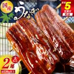 うなぎ 日向うなぎ 蒲焼 大 2尾
