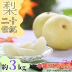 J33 20世紀梨 太鼓判 約3kg