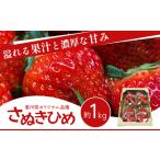 ふるさと納税 「期間限定！」香川県オリジナル品種のいちご【さぬきひめ】 1kg 香川県東かがわ市