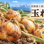 玉ねぎ 野菜