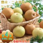 J35 豊水 20世紀 ミックス 約2.5kg