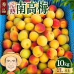 南高梅 約10kg