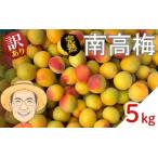ふるさと納税 南高梅 約5kg (＋保証100g)【訳あり】完熟  サイズ不揃い カキエモン農園【BX-kkem019】 和歌山県かつらぎ町