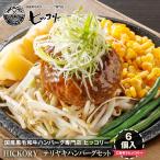 黒毛和牛ハンバーグ専門店 ヒッコリー HICKORY テリヤキハンバーグセット