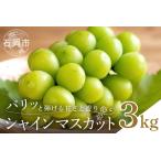 シャインマスカット3kg 3 7房 葡萄 ブドウ