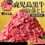 鹿児島黒牛 切り落とし 計約1kg 約500g×2P
