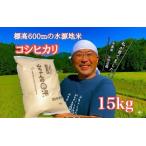 令和7年度産 農家直送 山ちゃんのお米 コシヒカリ15kg