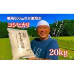 令和7年度産 農家直送 山ちゃんのお米 コシヒカリ20kg