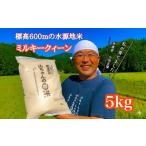 令和7年度産 農家直送 山ちゃんのお米 ミルキークイーン10kg