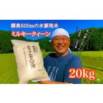 令和7年度産 農家直送 山ちゃんのお米 ミルキークイーン20kg