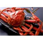 ふるさと納税 【厳選】茹で松葉蟹 8L(1300g前後)×1杯　★1月〜2月お届け 京都府京丹後市