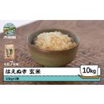 ふるさと納税 お米 米 令和7年産 はえぬき  玄米 1月以降順次発送 10kg 10kg×1袋 山形県産 ap-hagxa10x1-0 山形県大石田町