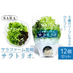 fu.... налог овощи Sara Trio 12 шт. комплект {30 дней в течение отгрузка предположительно ( суббота, воскресенье и праздничные дни за исключением )} Okayama префектура . холм город 