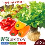野菜 サラ詰め合わせセット 野菜セット