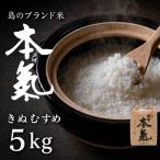 甘くてもっちり島のブランド米 本氣米 お米