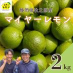 檸檬 マイヤーレモン 2kg